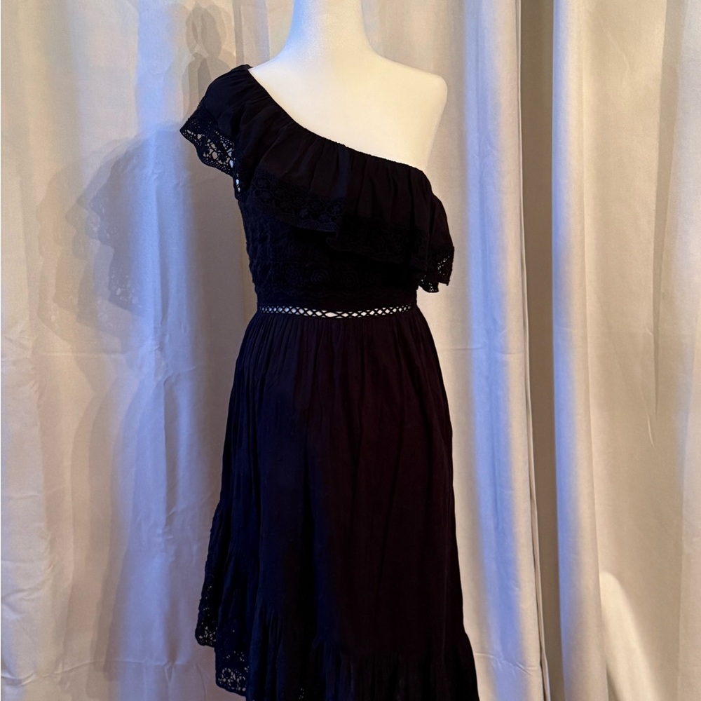 LoveShackFancy Black One-Shoulder Ruffle Lace Dress